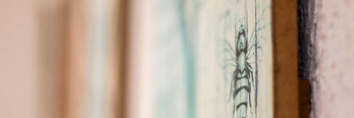 johnsilvabr's profile banner image