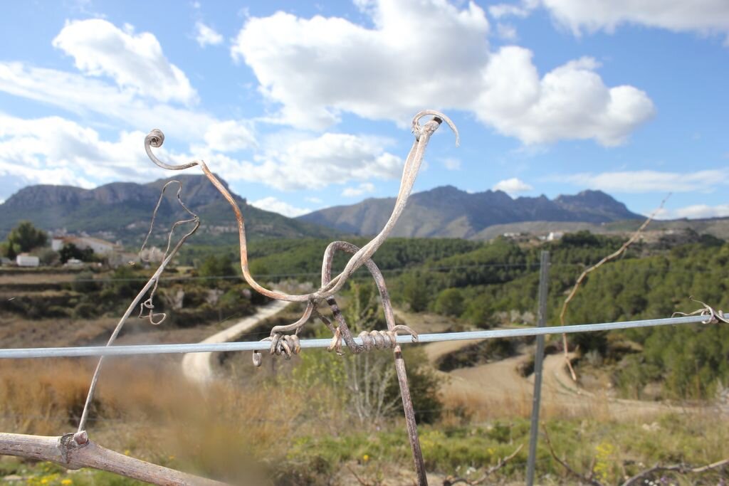 Joan de la Casa banner