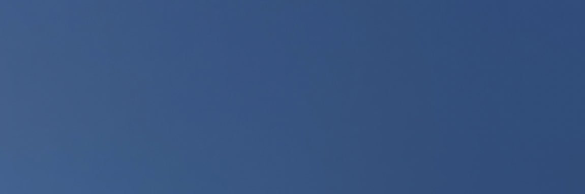 littleturtle77's profile banner image