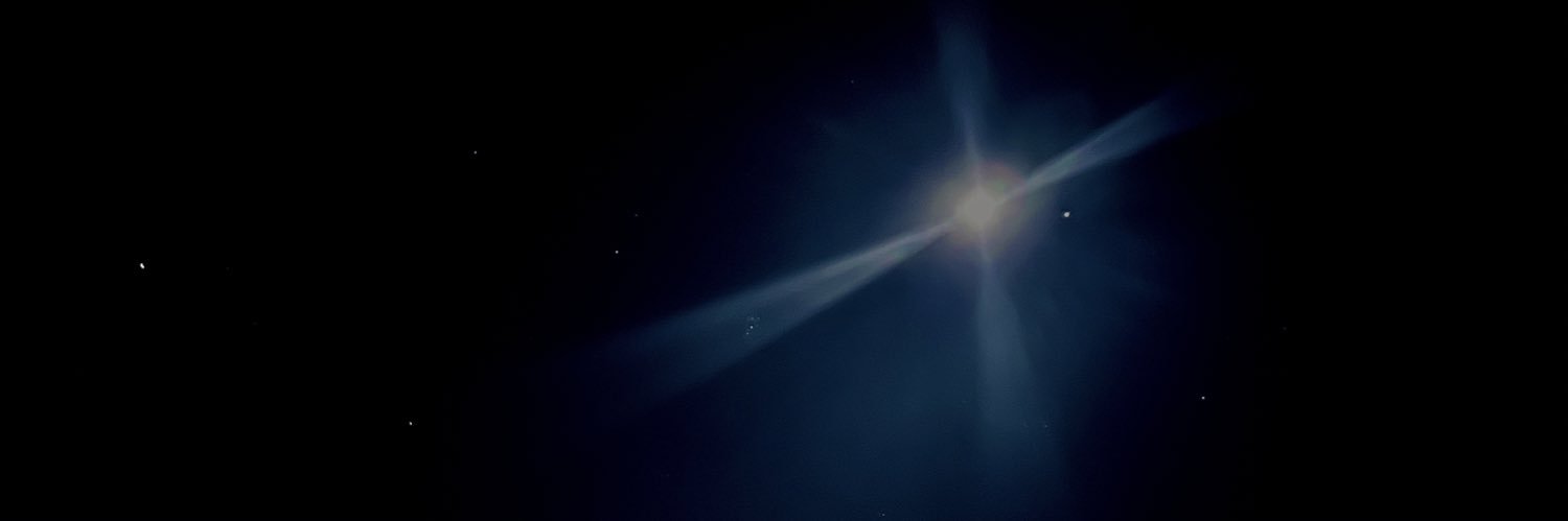 Treesa banner