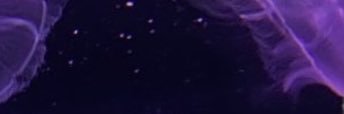 usapi_xl's profile banner image