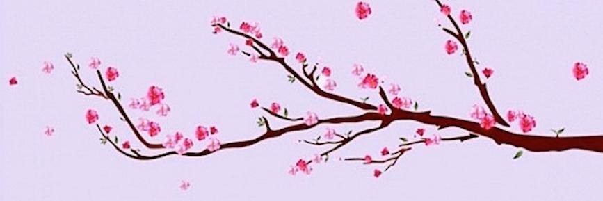 DakotahSam's profile banner image