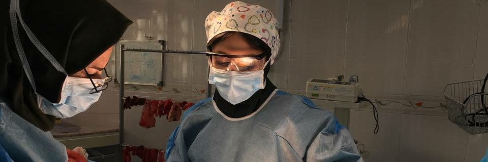 دافنه بلیک👩 banner