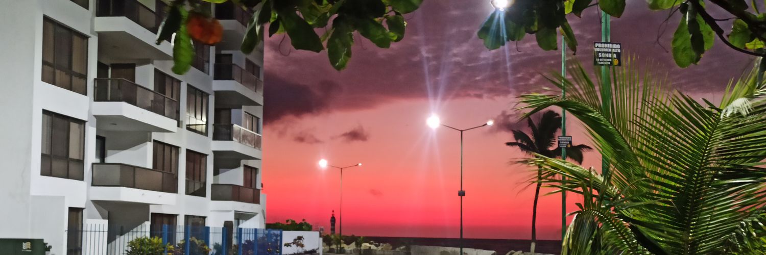 alercc91's profile banner image