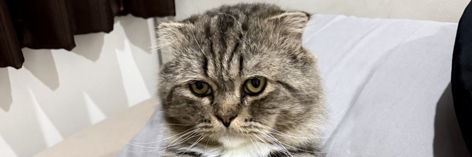 ไอปรางปรัง🤍💐 banner