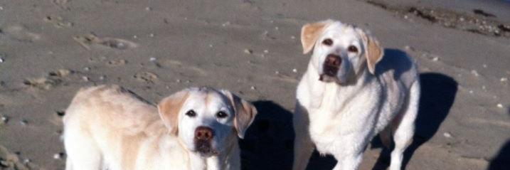 charmccormack10's profile banner image