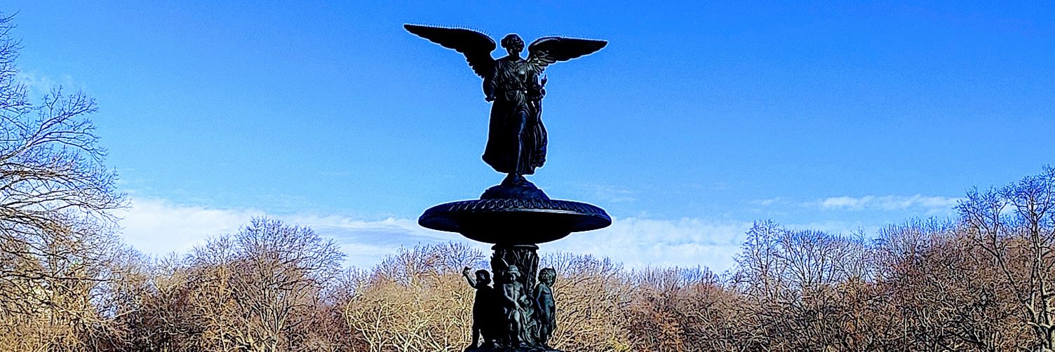 David Jackson banner