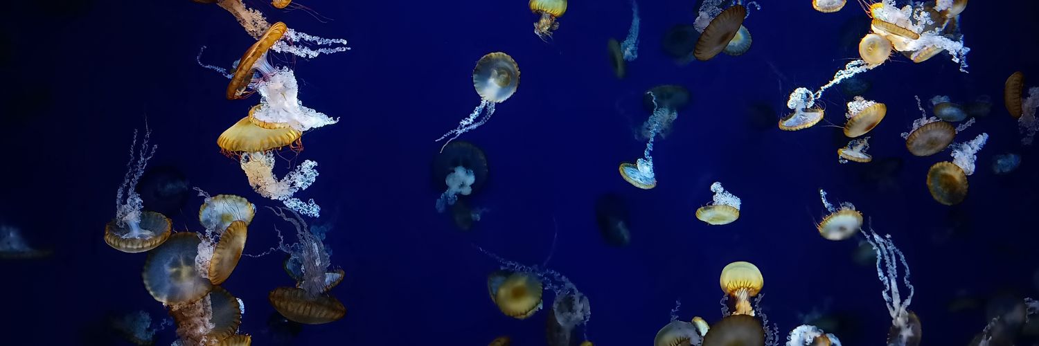 いぬばやし banner