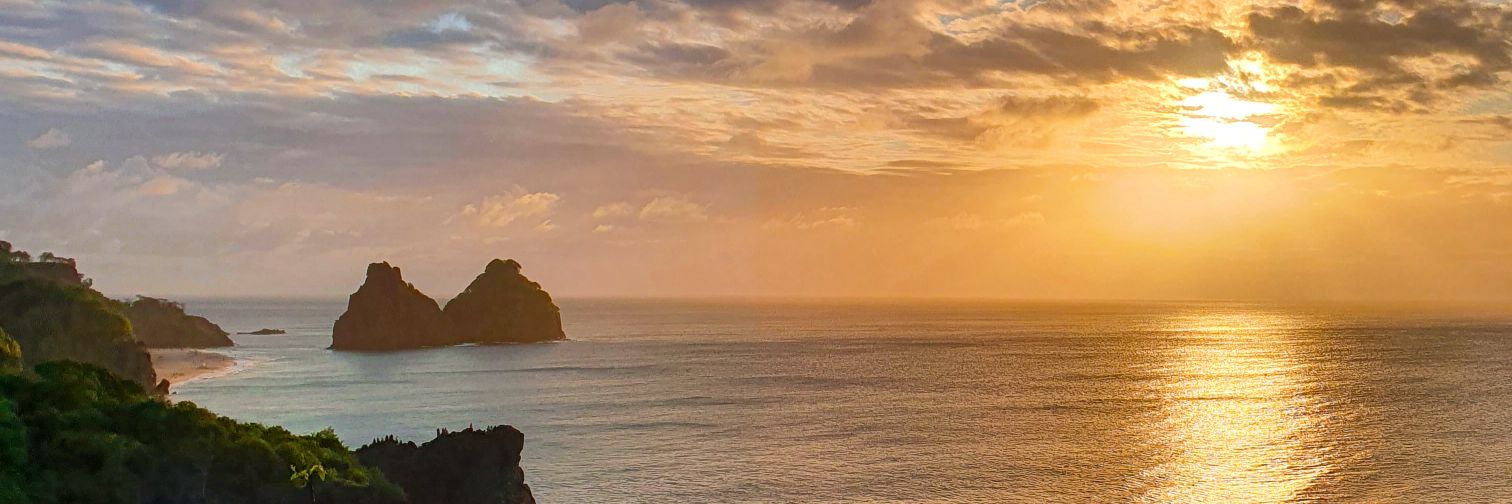 cajustini's profile banner image