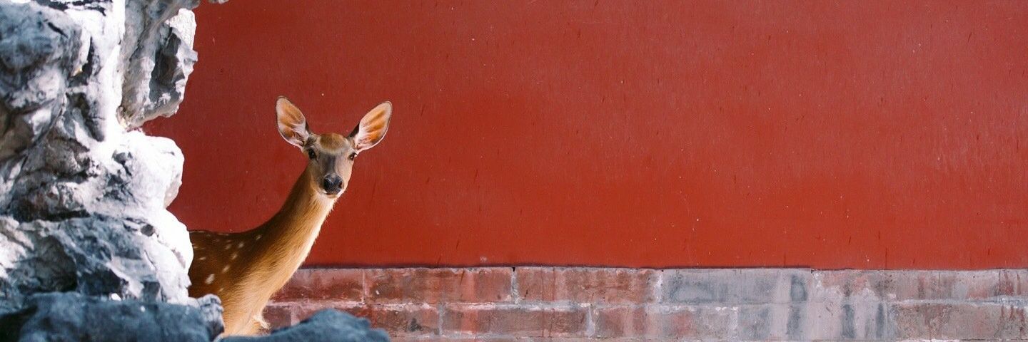 Faustine0712's profile banner image