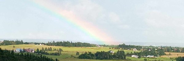 bambamellis Profile Banner