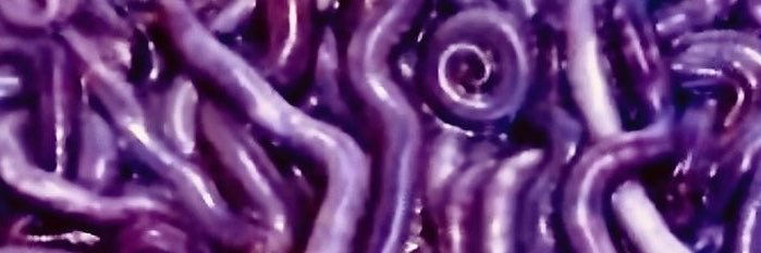 User326272's profile banner image