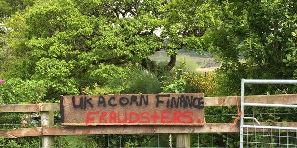 Miles Pengelly banner