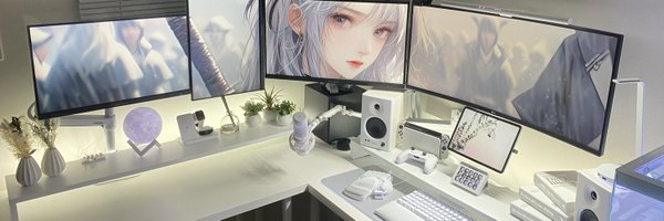 shinoll25 Profile Banner