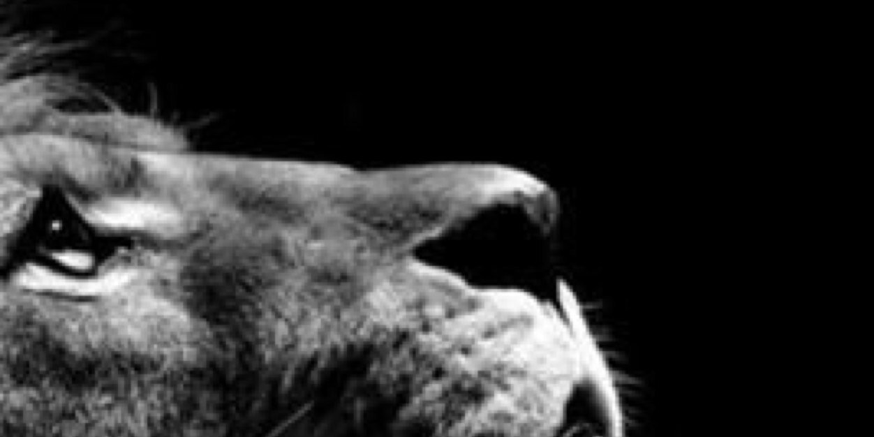 3anpon's profile banner image