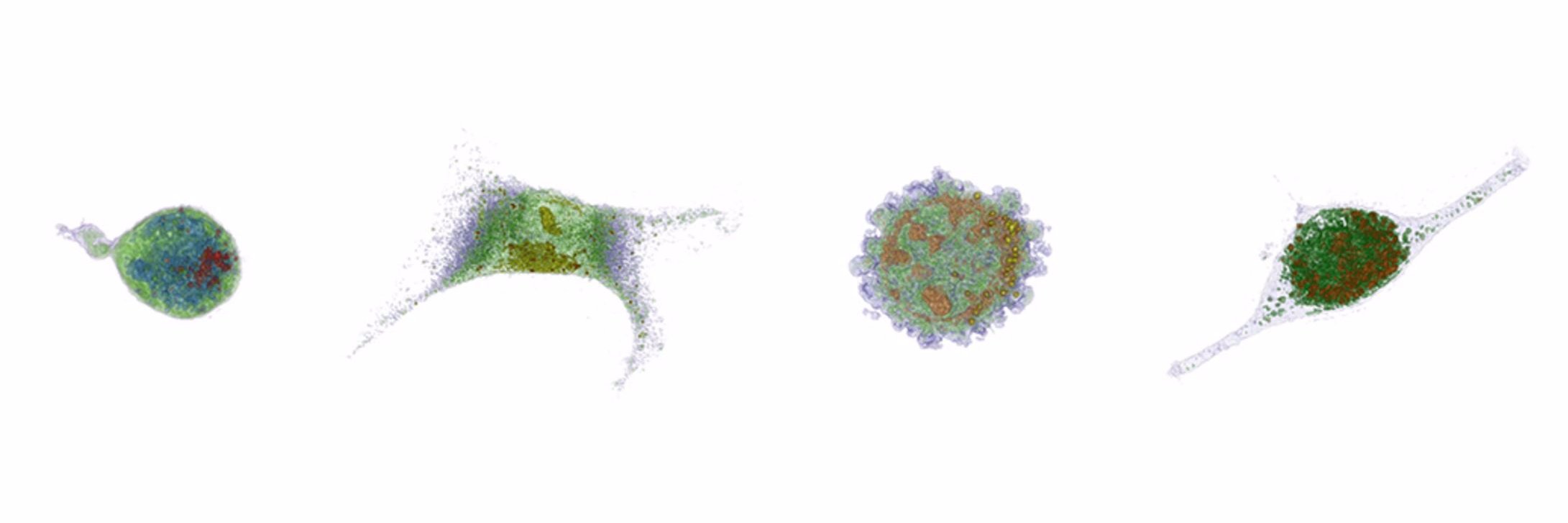 yongkeun (Paul) park banner