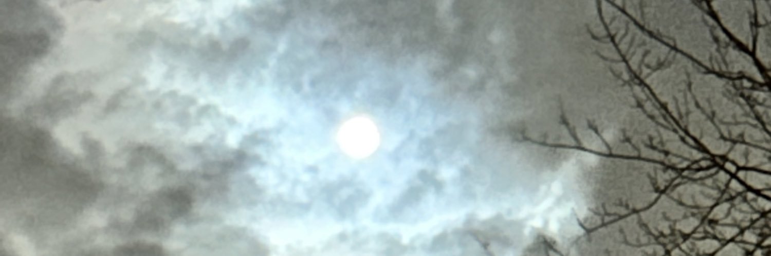 djredrobin's profile banner image