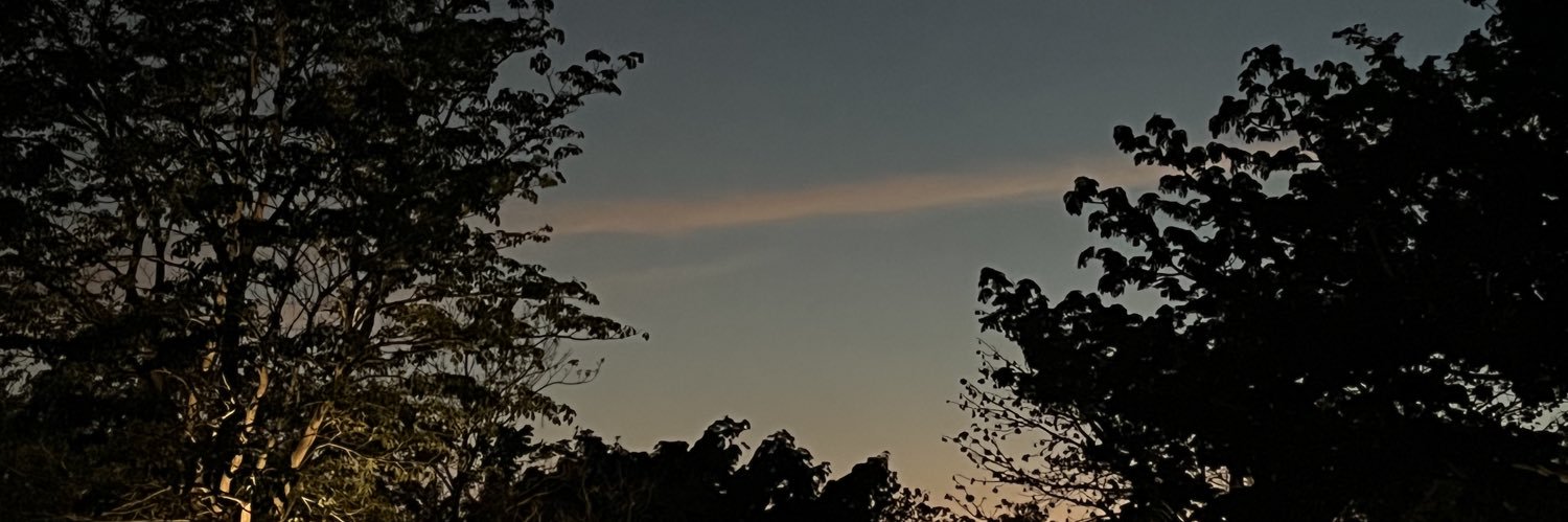 perlax21's profile banner image