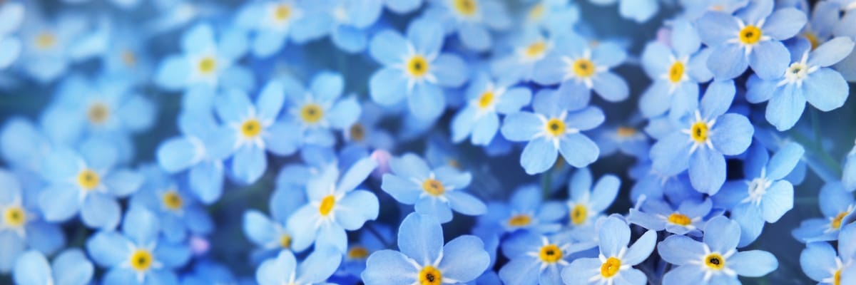 Iko_Gassel's profile banner image