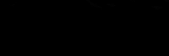 snowbaird banner