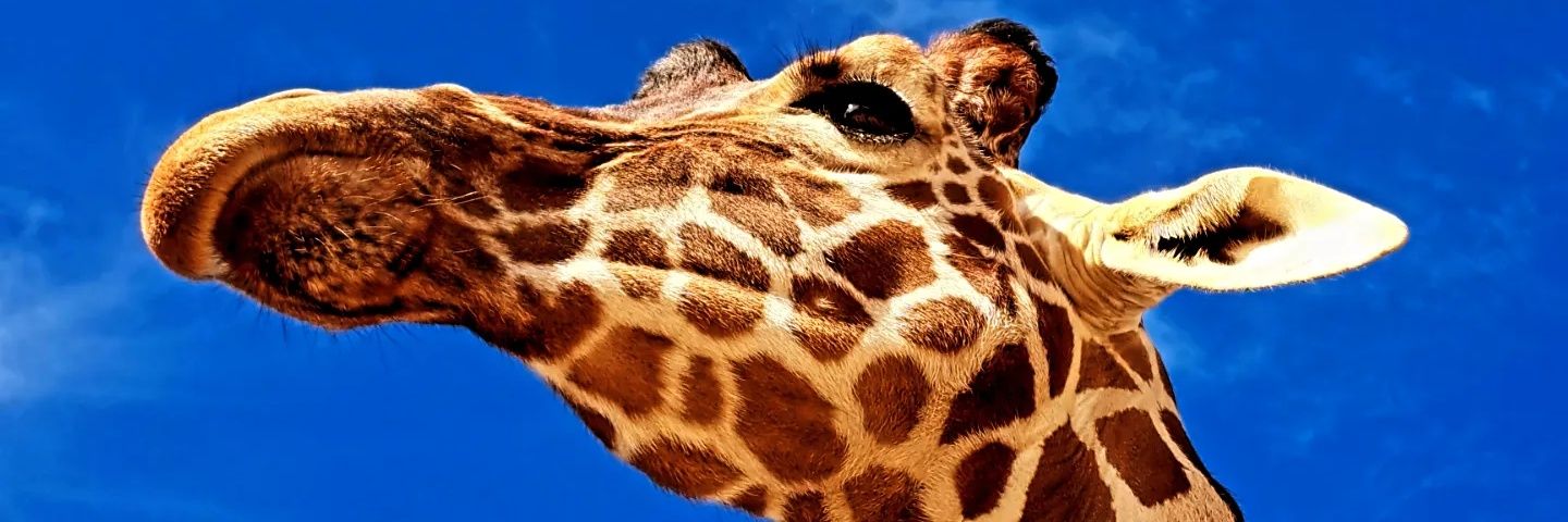 aleBAUtista22's profile banner image