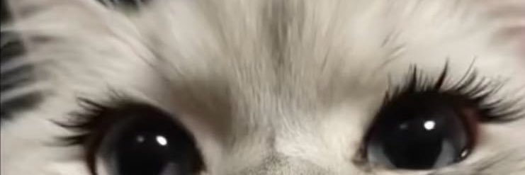 𝑲ardelen❄️ banner