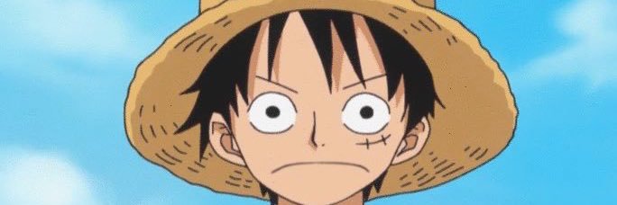 Monkey D.Hate banner