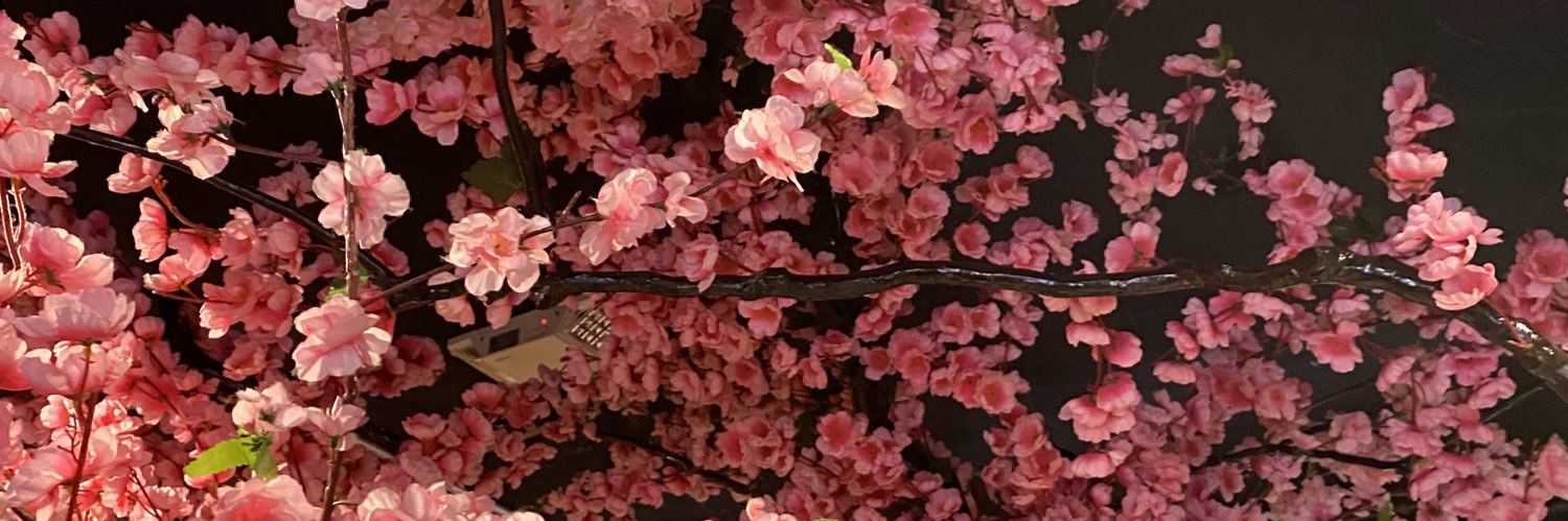 ManuASuzu's profile banner image