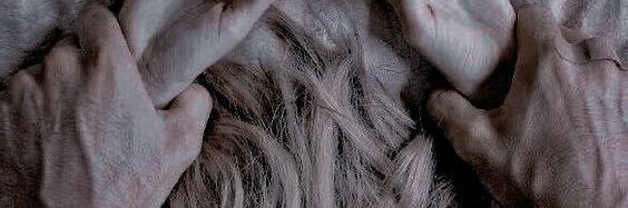 พอมอ banner
