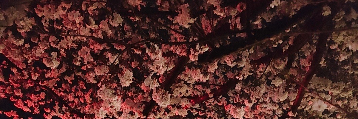 links_candy's profile banner image