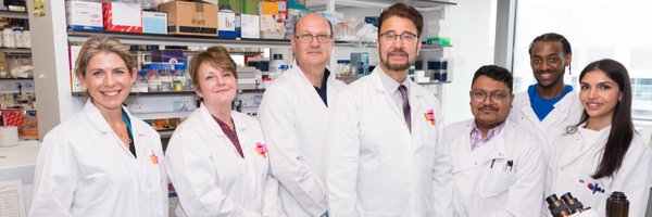 aluk_research Profile Banner