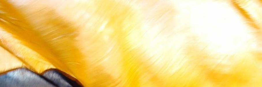 Fórum TigreLOG banner