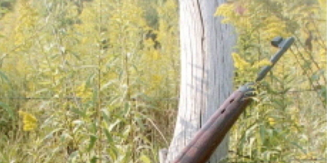 Rocker3445's profile banner image