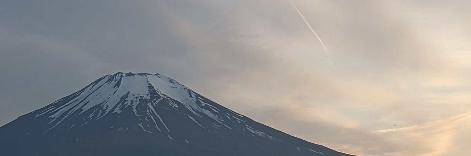 nyaguri's profile banner image