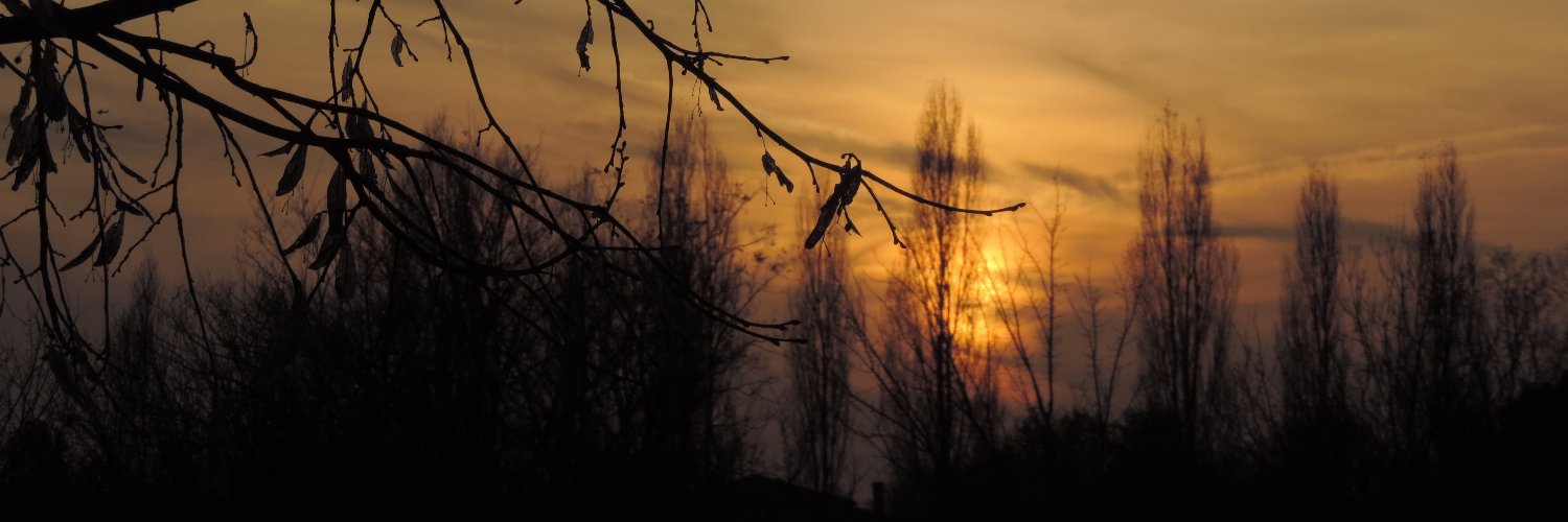 Nadiapiani's profile banner image