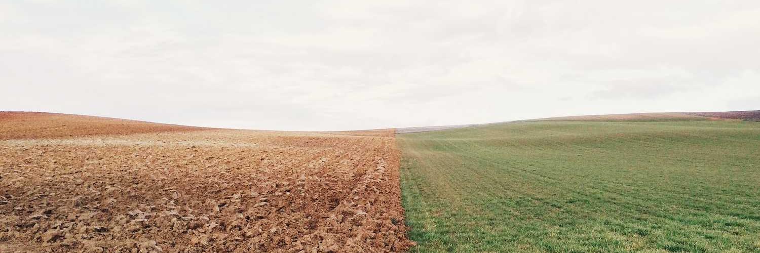 Akun Aing K A❤️ Memecoin banner