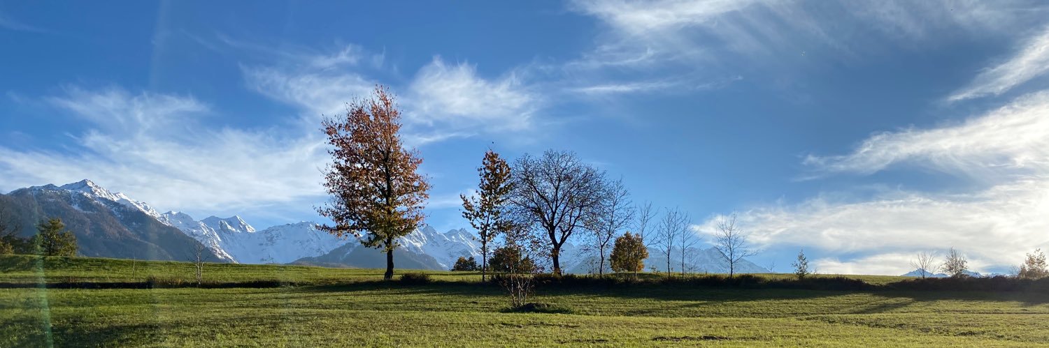 marisa biancotti's banner