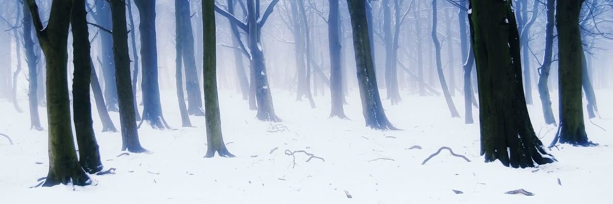 aza ❄️ banner