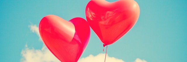 ConNetRoot's profile banner image