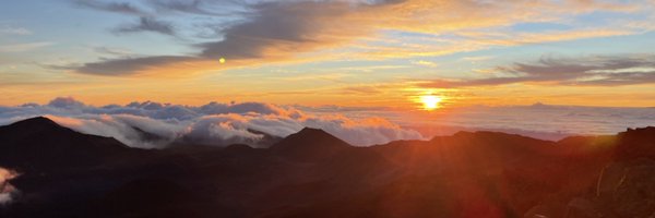 lamw Profile Banner