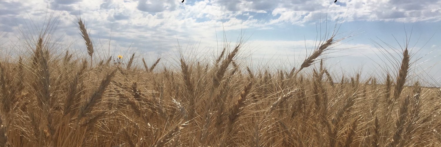 5th Canadian Wheat Symposium 2023 banner