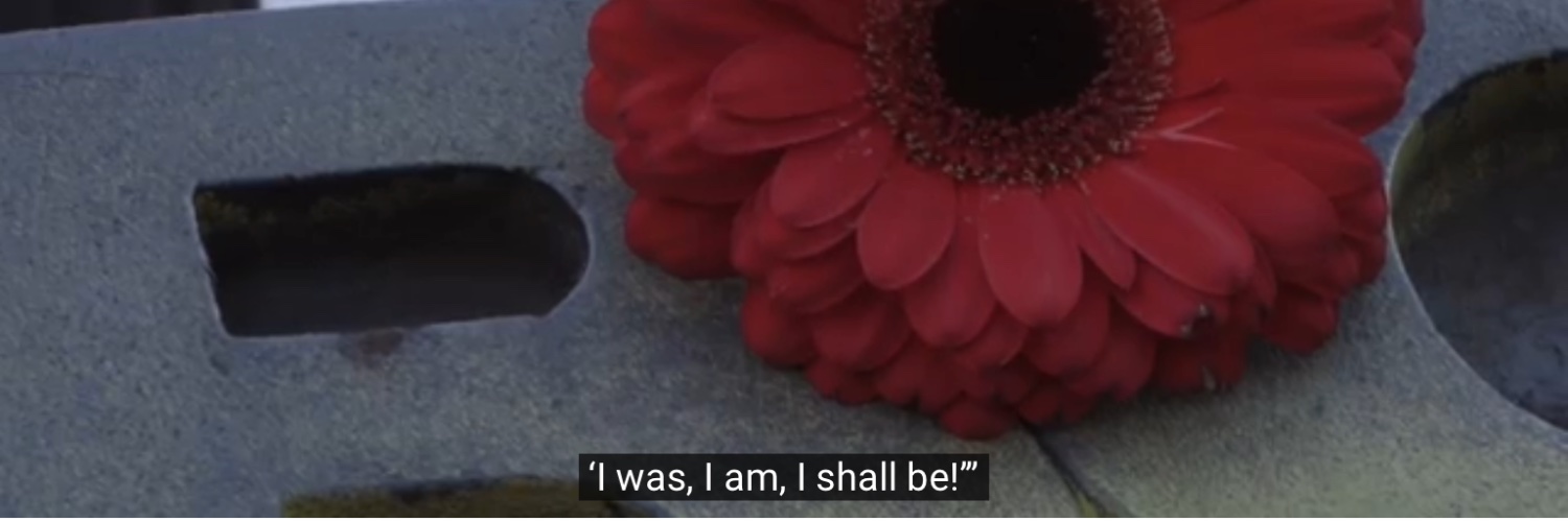 _marmaelading_'s profile banner image