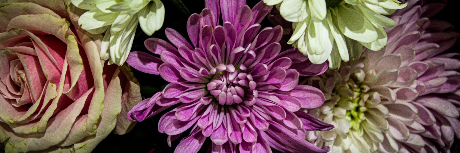 TamiLee7302's profile banner image
