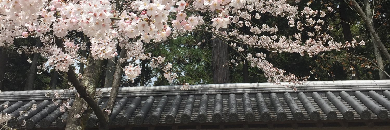 miko_v's profile banner image