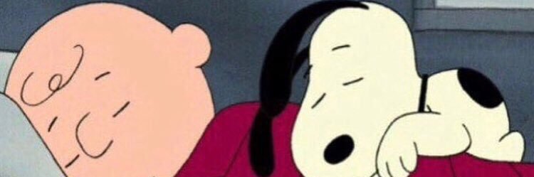 vavavaviii's profile banner image