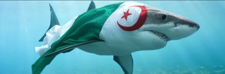MokouBebek🇫🇷🇩🇿 banner