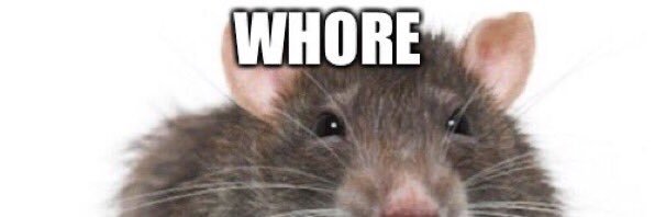 Ravager ♡ 🔞MINORS DNI🔞 banner
