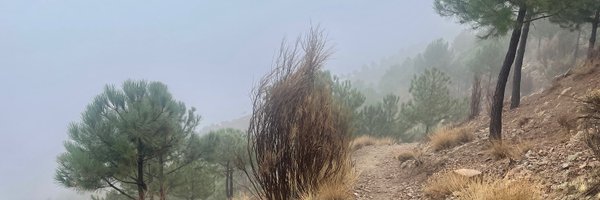 czv Profile Banner