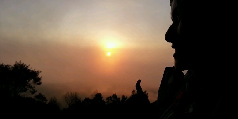 dinnia24's profile banner image
