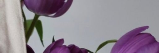 _mo27za's profile banner image
